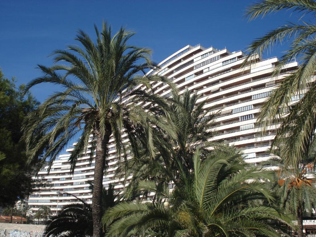 Apartamentos Florazar II Ajhory Cullera Bagian luar foto
